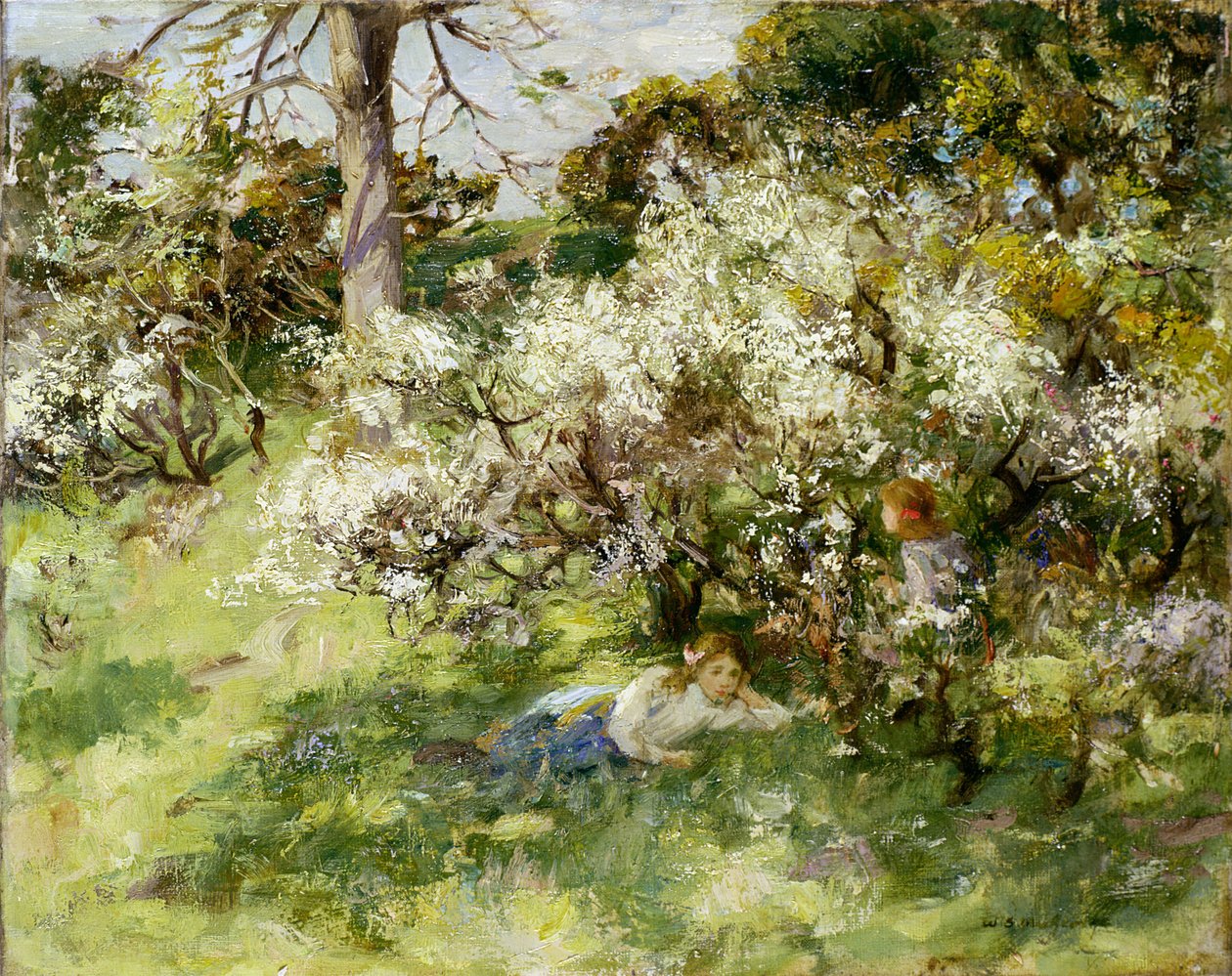 Flor de abrunho de William Stewart MacGeorge