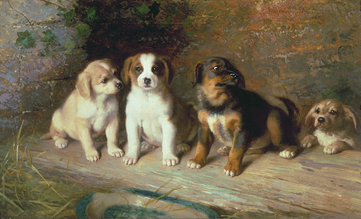 A próxima corrida de William Strutt
