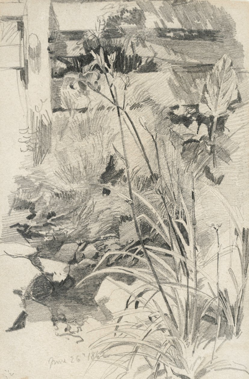 Lírios de dia por uma cerca de madeira, 1862 (grafite em papel de tan wove) de William Trost Richards