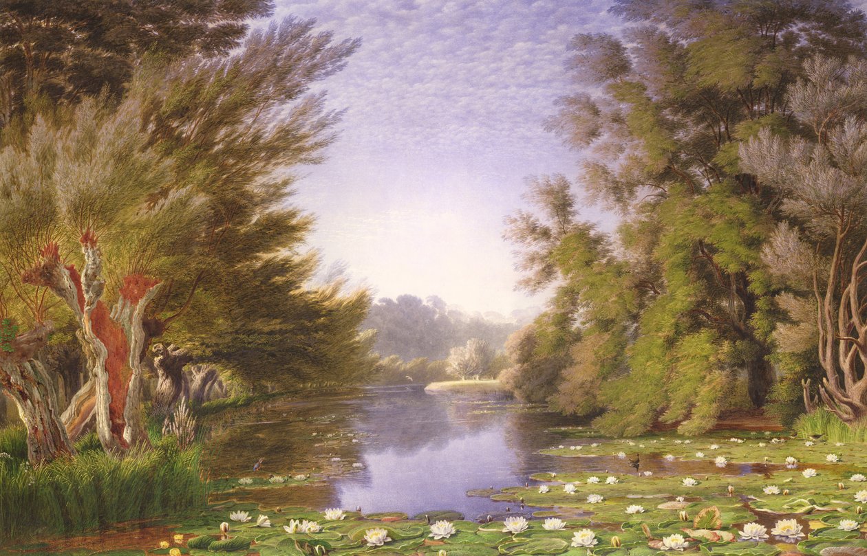 Água Lillies no Cherwell de Joseph Mallord William Turner