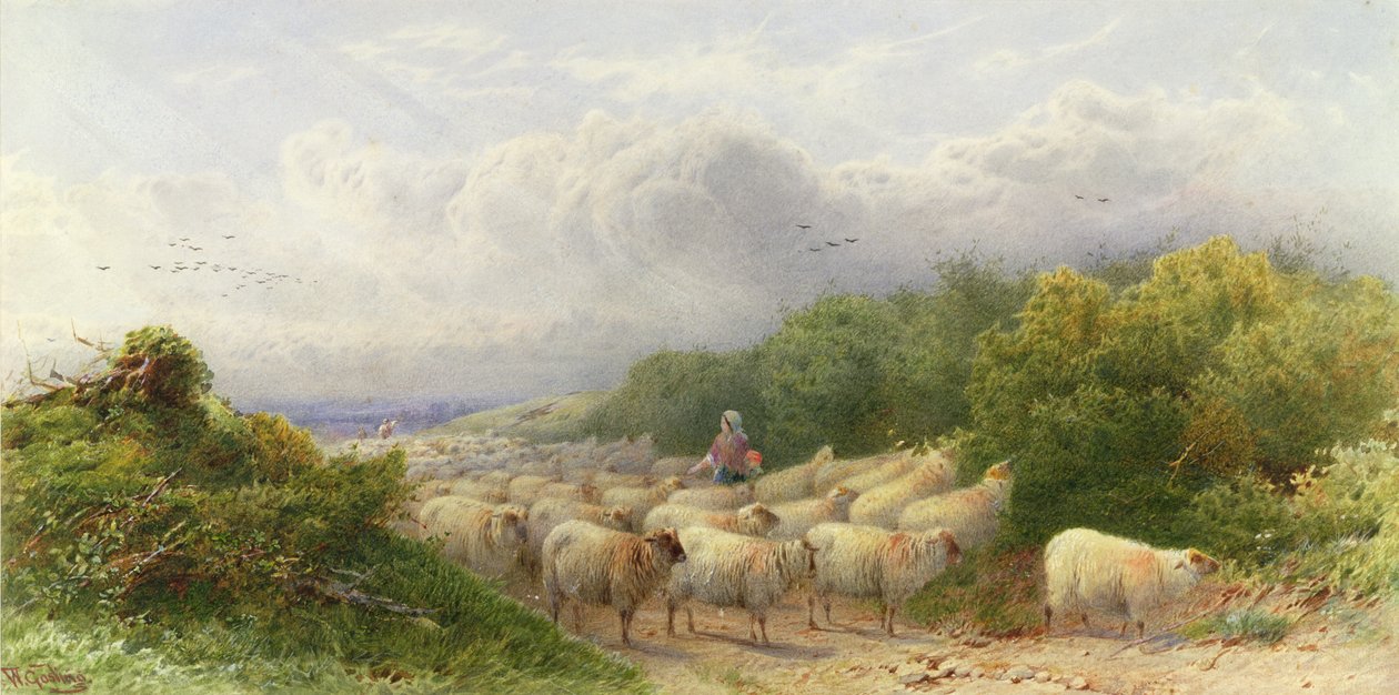 Ovelhas nas penas de William W. Gosling