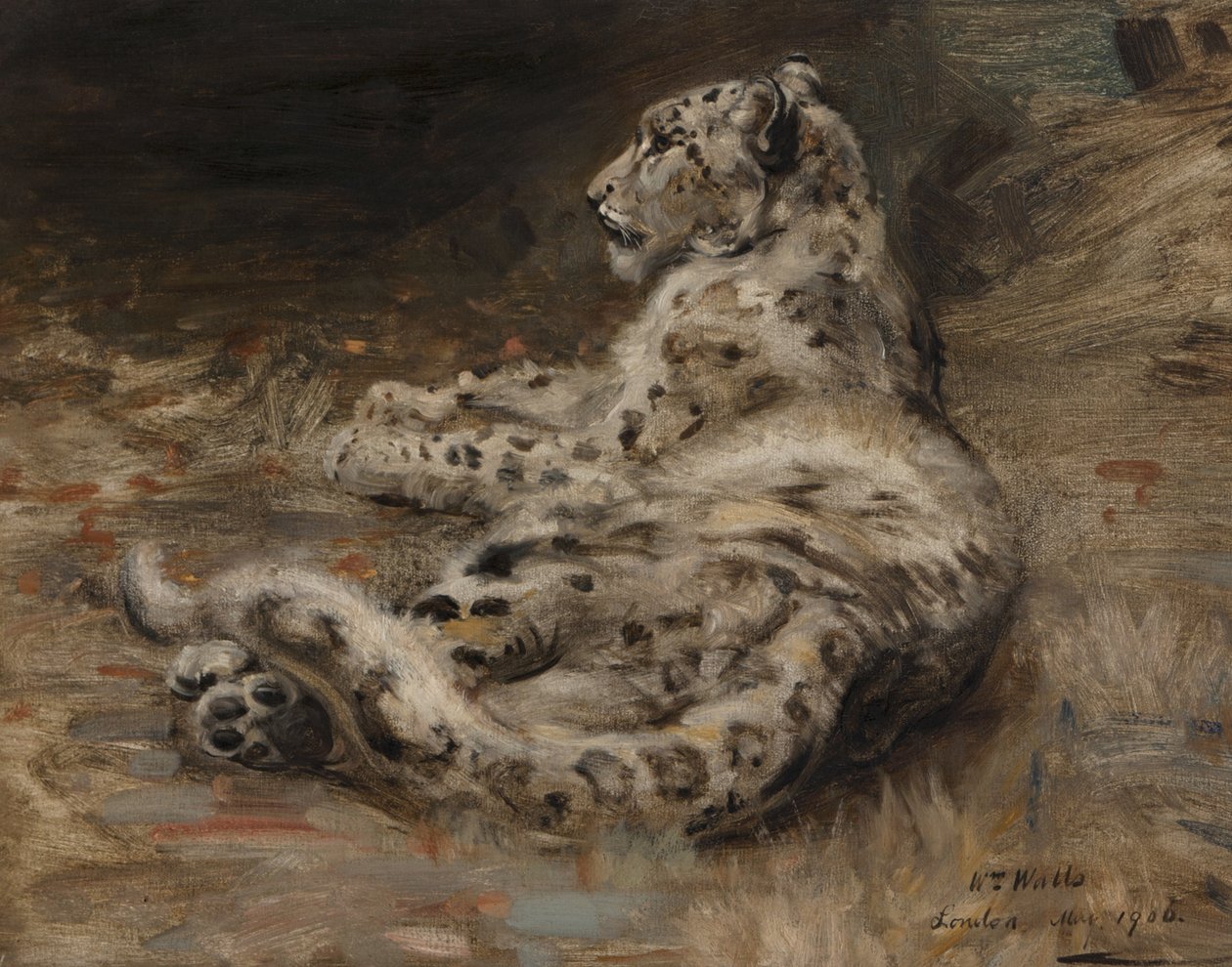 Um Leopardo, 1906 de William Walls