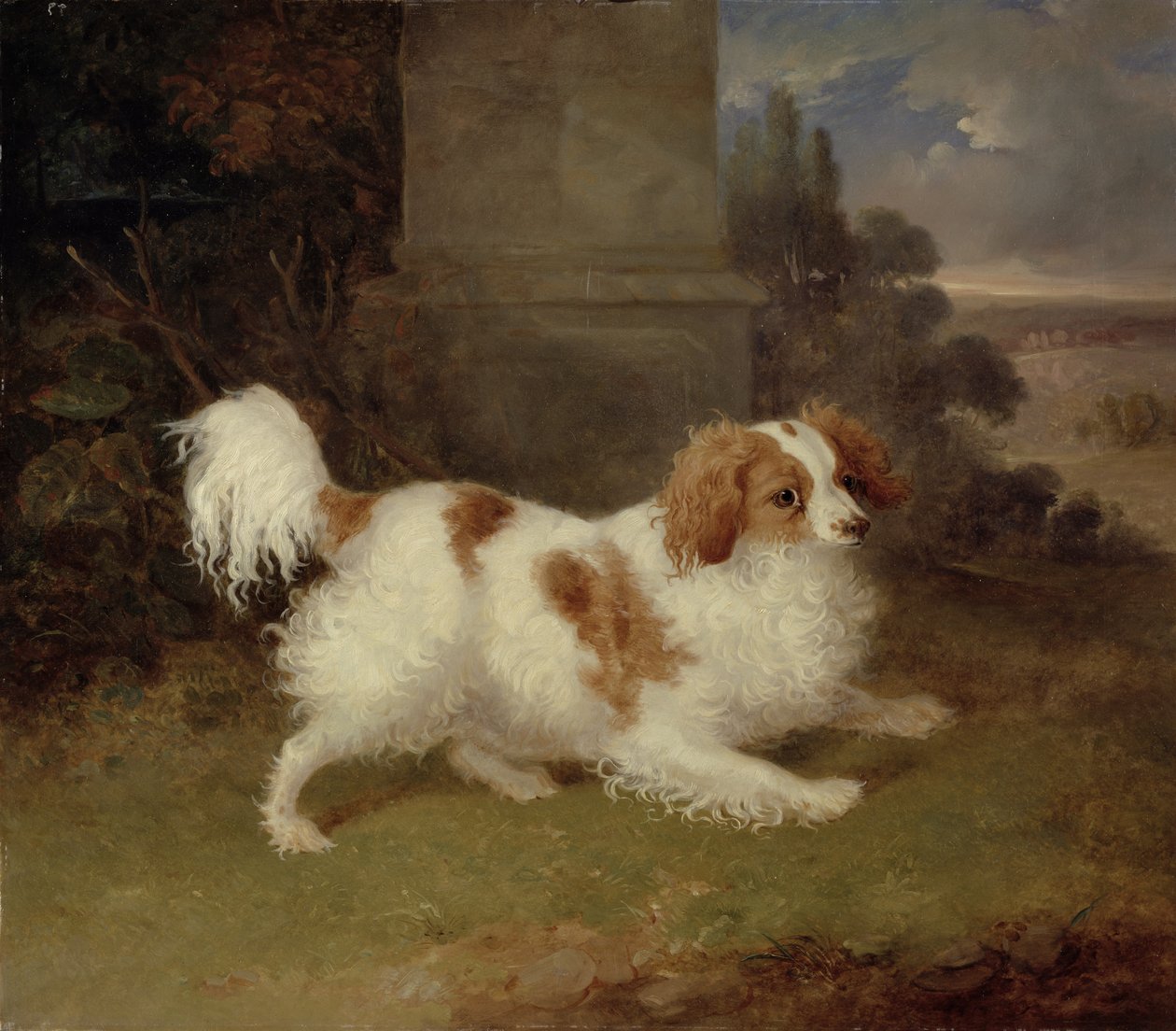 Um Spaniel de Blenheim, c.1820-30 de William Webb