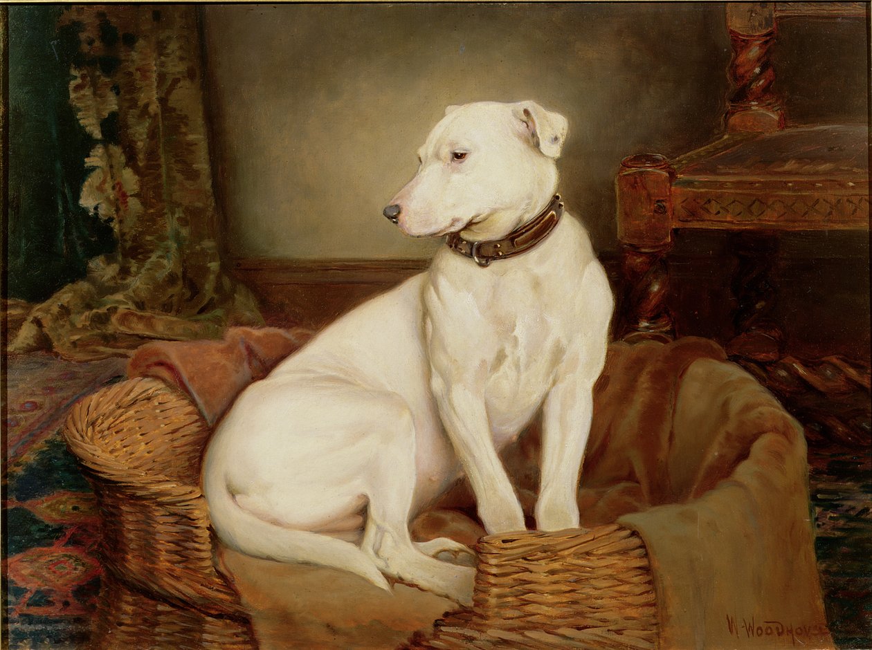 Na desgraça de William Woodhouse