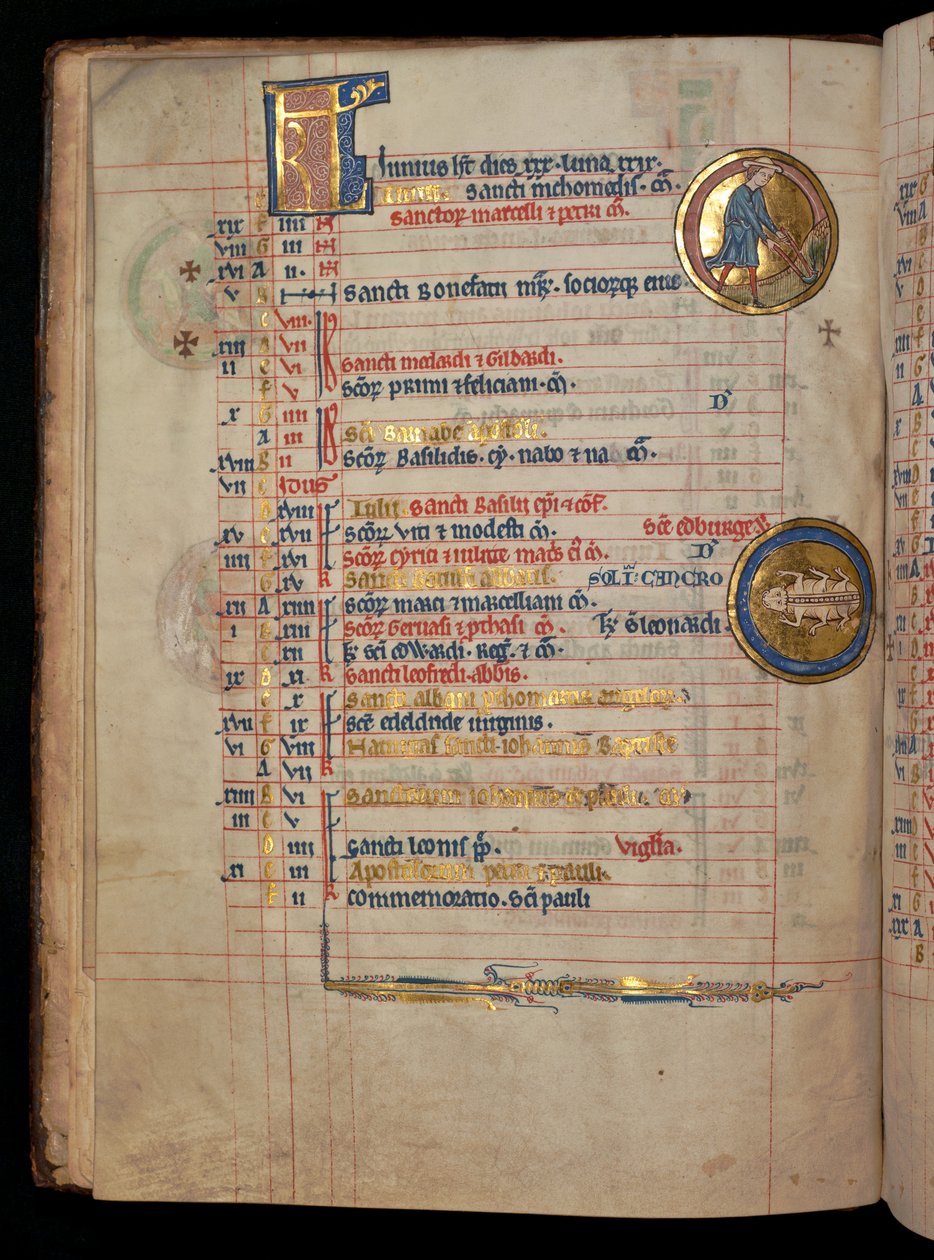 Ms 322 f.3v, junho, um homem capina, ilustração do &39;De Brailes Psalter&39;, c.1250 de William de Brailes  