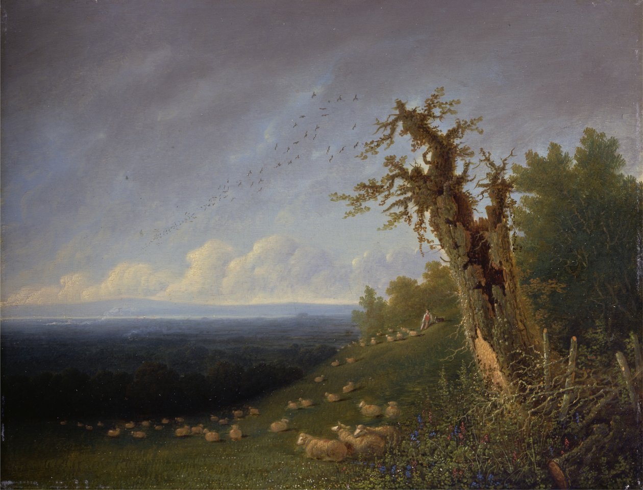 Shepherd Boy on a Hillside (óleo no painel) de Joseph Mallord William Turner