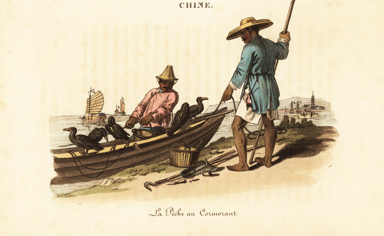Pescadores chineses e seus corvos-marinhos de William (after) Alexander