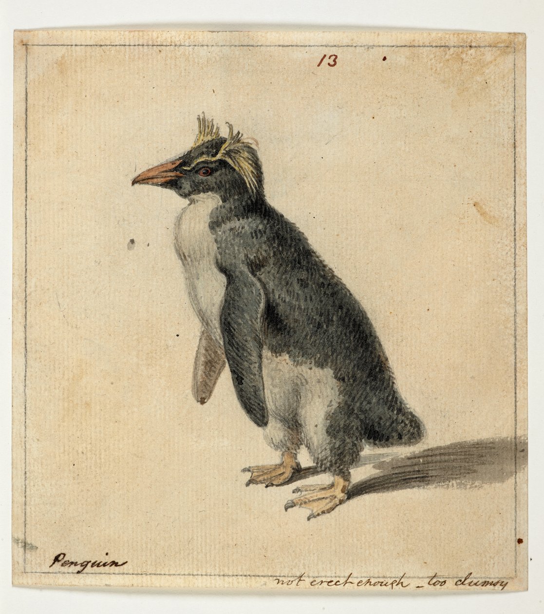 DM 961 f.13 de William Alexander