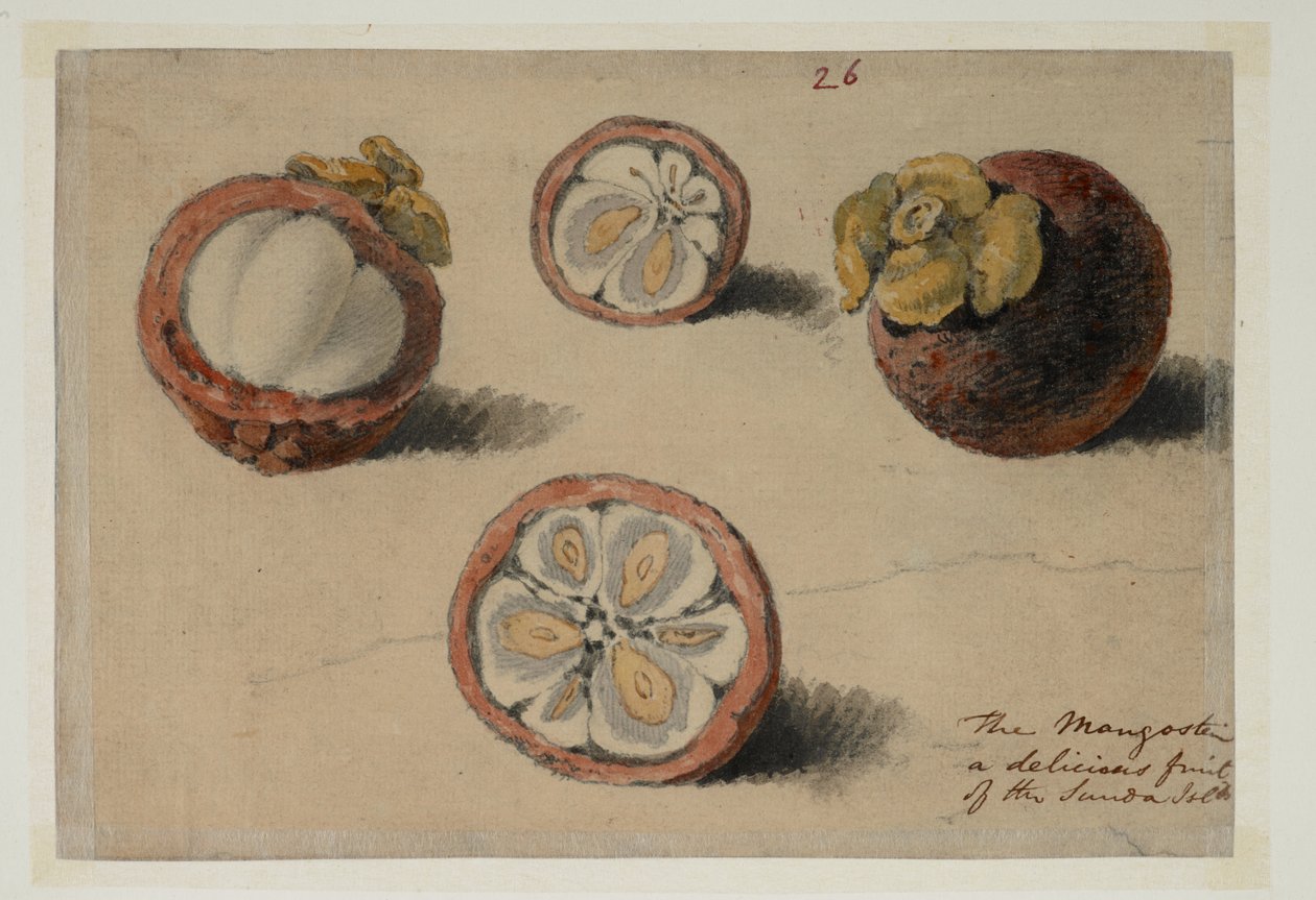 DM 961 f.26 de William Alexander