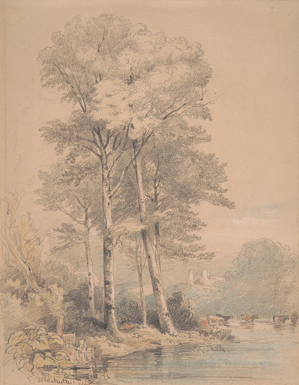 Castelo de Llandovery, País de Gales do Sul de William Alfred Delamotte