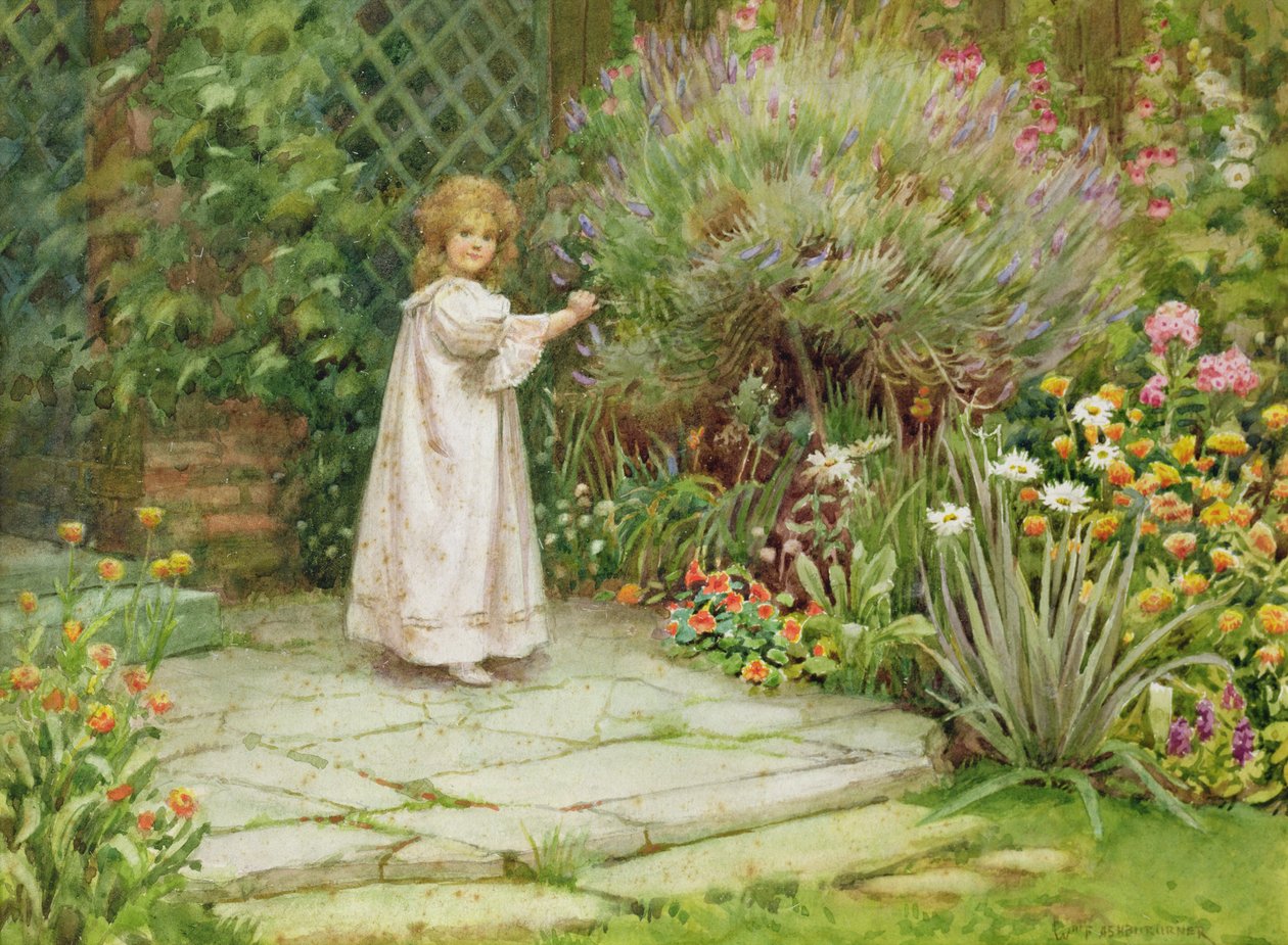 Meu jardim de William Ashburner