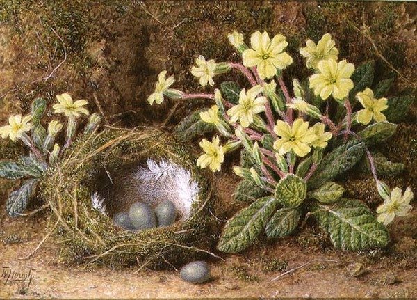 Natureza Morta de Ovos em Ninho e Primrizes de William B. Hough