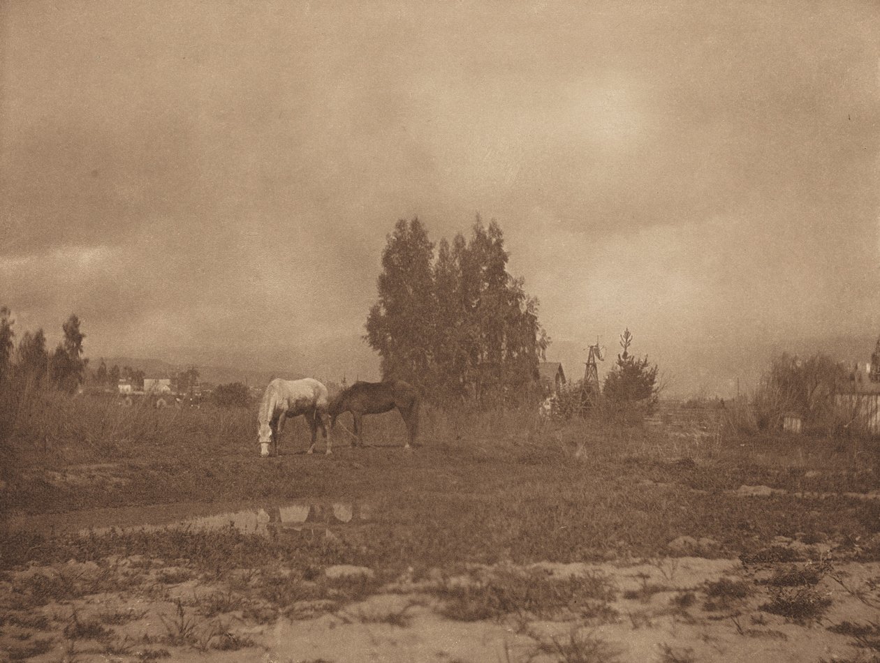 Pasadena Landscape, 1899. de William B Post