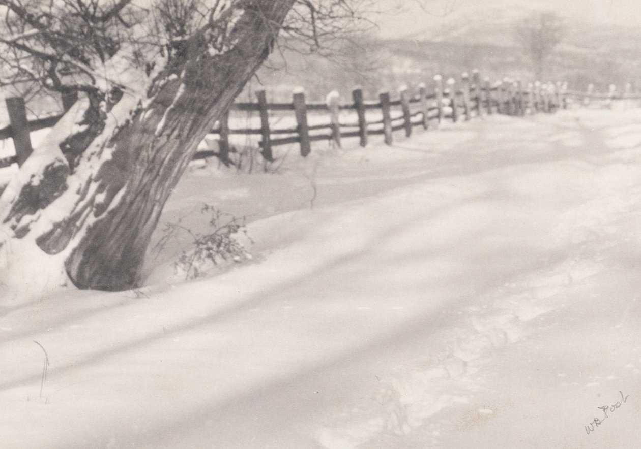 Caminho na neve de William B. Post