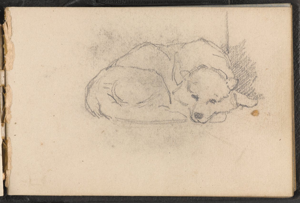 Esboço de um cão adormecido, cerca de 1879 de William Barnes Wollen