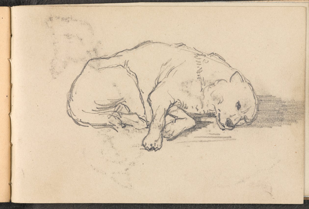 Esboço de um cão adormecido, cerca de 1879 de William Barnes Wollen