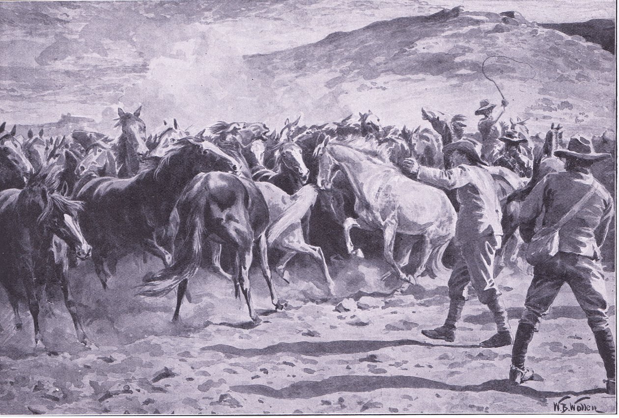 A captura dos cavalos no distrito de Brandwater, perto de Fouriesburg: arredondando a manada, ilustração de After Pretoria: The Guerilla War, 1902 de William Barnes Wollen