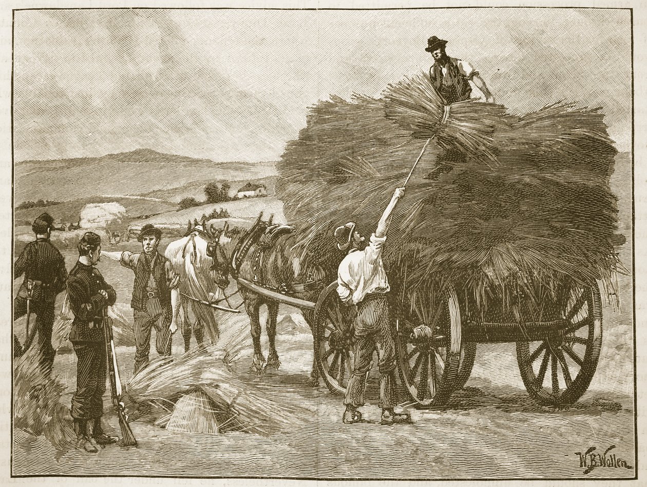 A economia das colheitas do Capitão Boicote, ilustração da gravura de "História Ilustrada de Inglaterra" de Cassell (foto sépia) de William Barnes Wollen