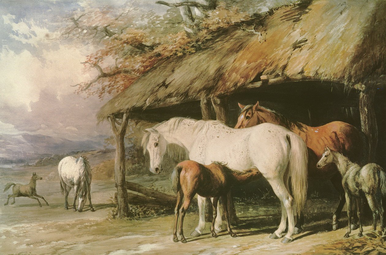 Éguas e potros, do século XIX de William Barraud