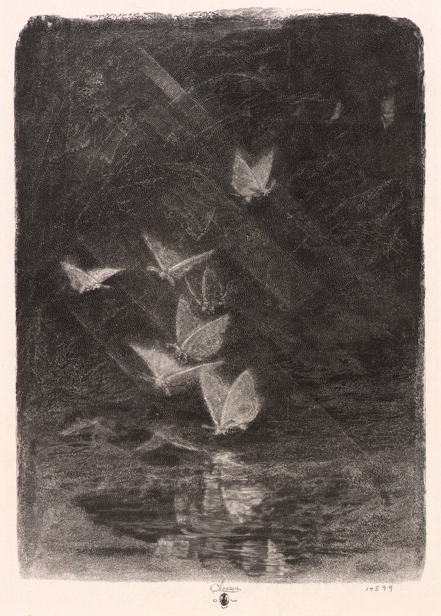 Traças nocturnas de William Baxter Closson