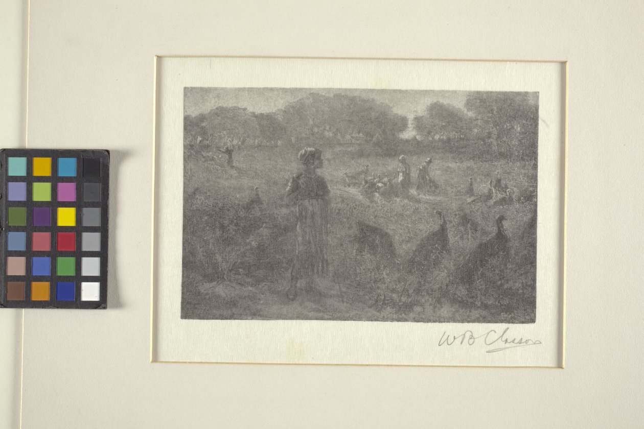 O pasto da Turquia (gravura em madeira) de William Baxter Palmer Closson