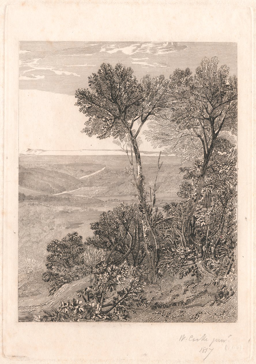 O Vale de Ashburnham, Uma Réplica da Metade Direita de William Bernard Cooke