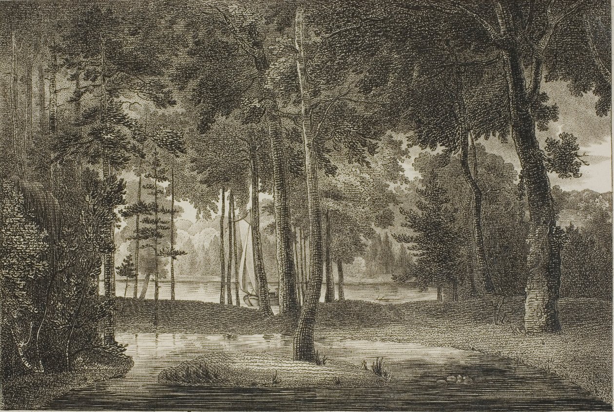 Vista do Bower Elysian de William Birch