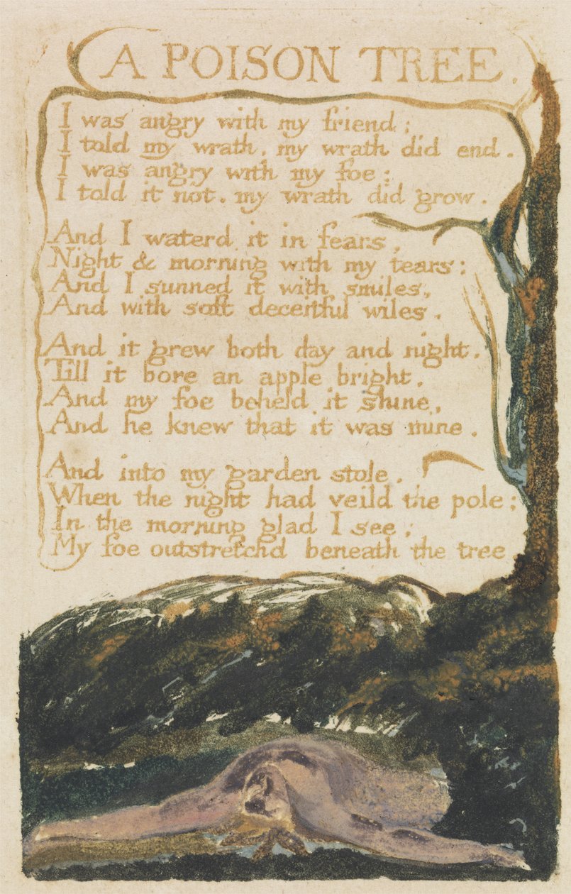 &39;A Poison Tree&39;, gravura 40 de &39;Songs of Experience&39;, 1794 (gravura em relevo impressa em cores com aquarela) de William Blake