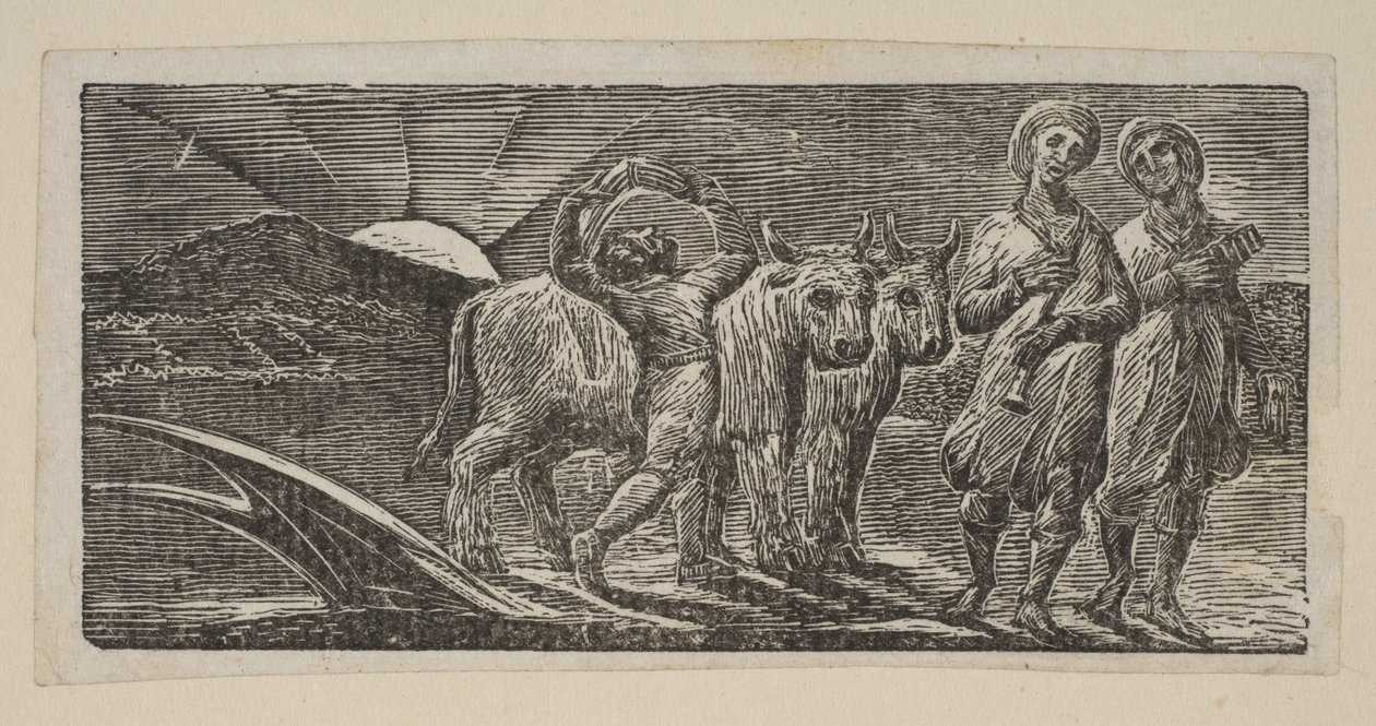 Menino retornando com alegria, com Arado e Bois, da Thorntons Pastorals of Virgil, 1821. de William Blake