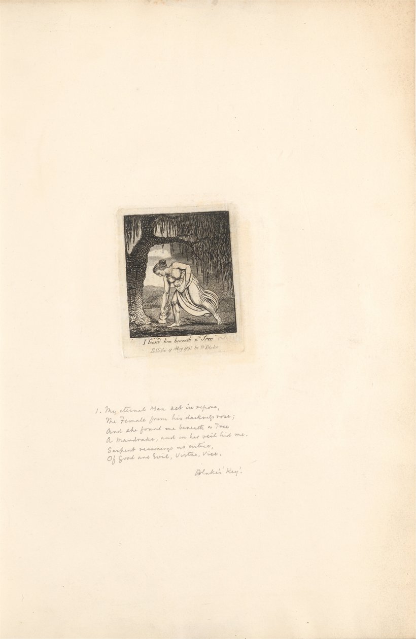 Para os sexos - Os portões do paraíso, ilustração 3, encontrei-o sob uma árvore de William Blake