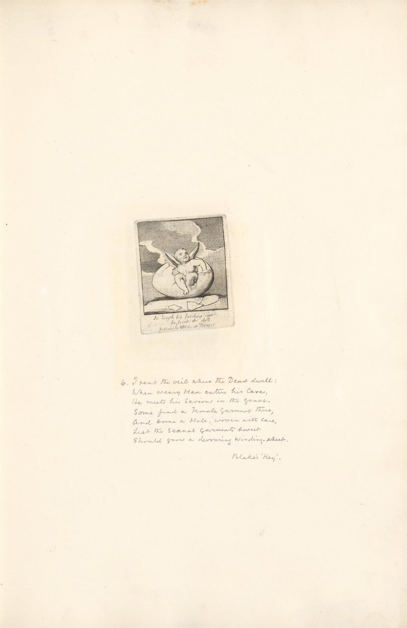 Para os sexos - Os portões do paraíso, ilustração 8, Finalmente, para incubar a maturidade, ele quebra a casca de William Blake