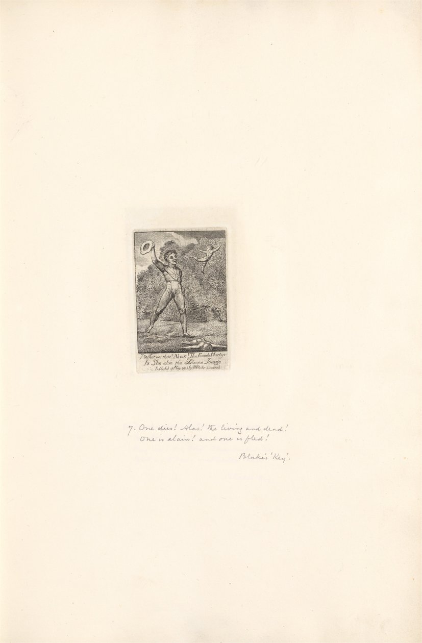 Para os sexos - Os portões do paraíso, ilustração 9, que pena! de William Blake