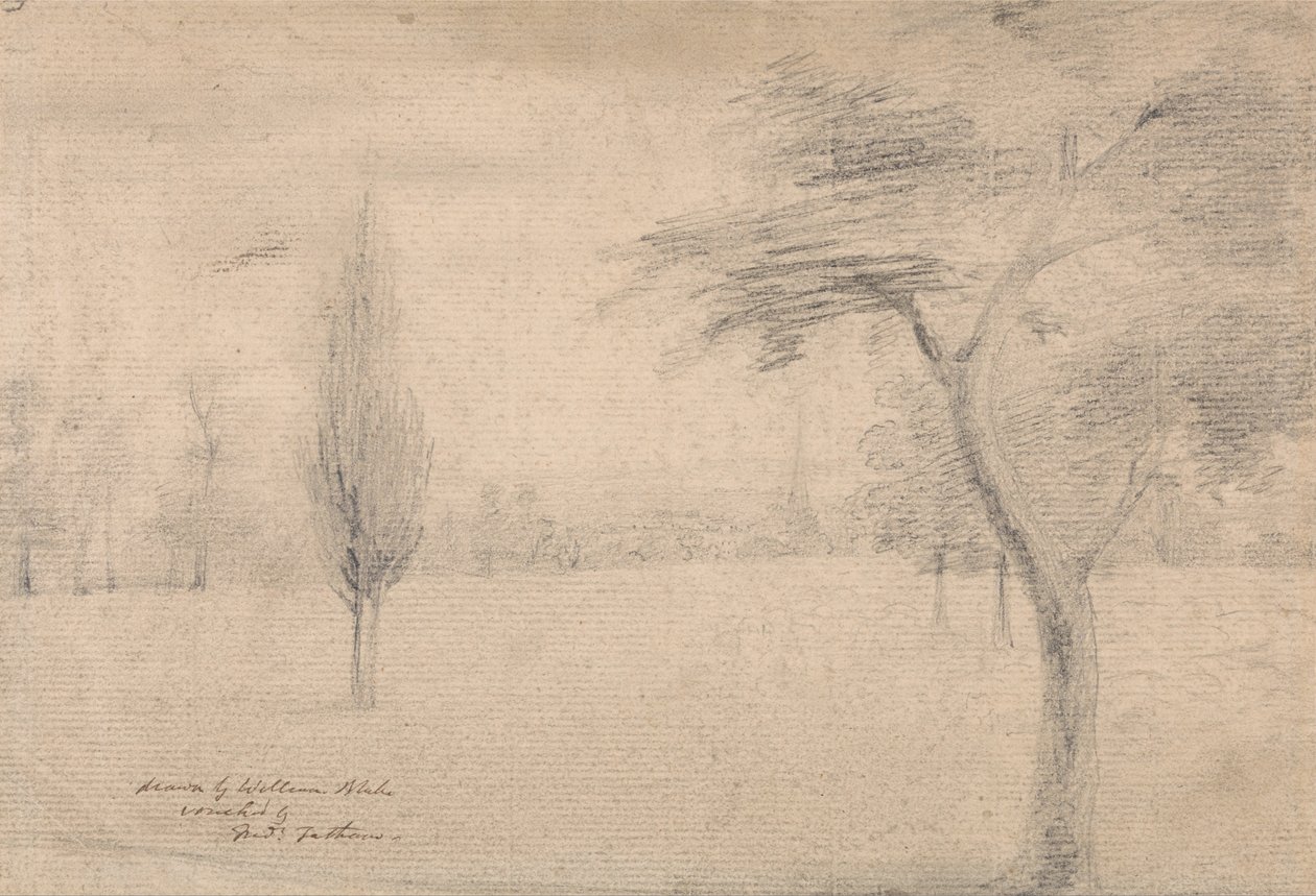Paisagem com Spire de William Blake