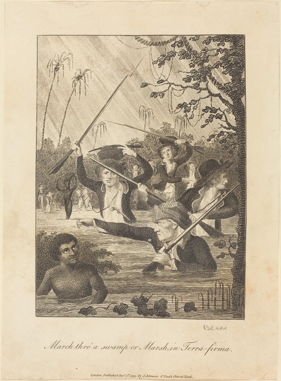 Marchar por um pântano ou pântano em Terra-firma, 1793. de William Blake