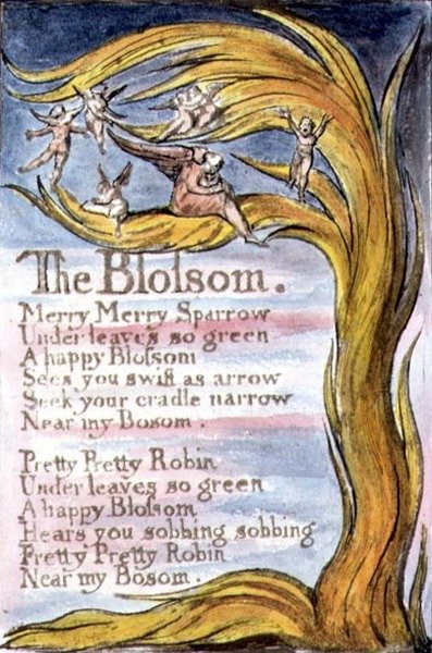 P.124-1950.pt10 The Blossom: plate 10 from Songs of Innocence and of Experience (copy R) c.1802-08 (gravura, tinta e aguarela) de William Blake