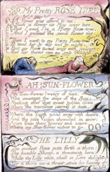 P.124-1950.pt44 My Pretty Rose Tree; Ah! Sunflower; The Lilly: plate 44 from 