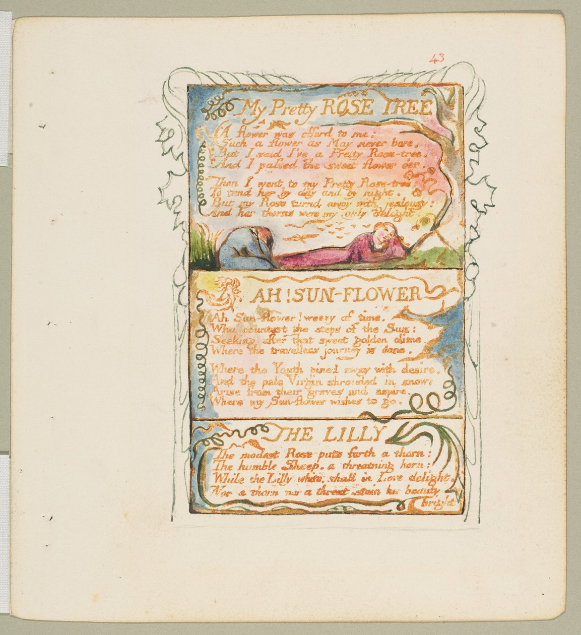Canções de Inocência e de Experiência: My Pretty Rose Tree, Ah! Sun-Flower, The Lily, ca. 1825. de William Blake