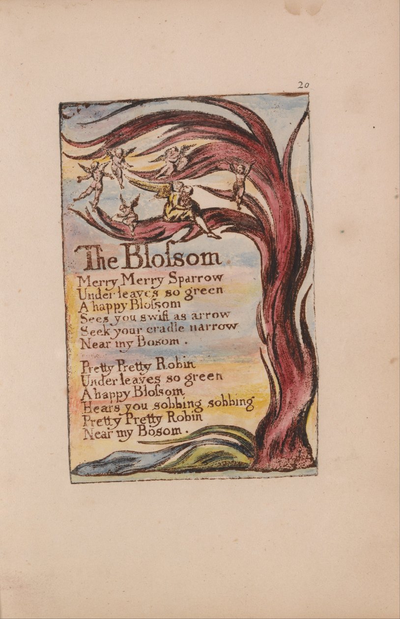 Canções de inocência e experiência, ilustração 20, The Blossom (Bentley 11) de William Blake