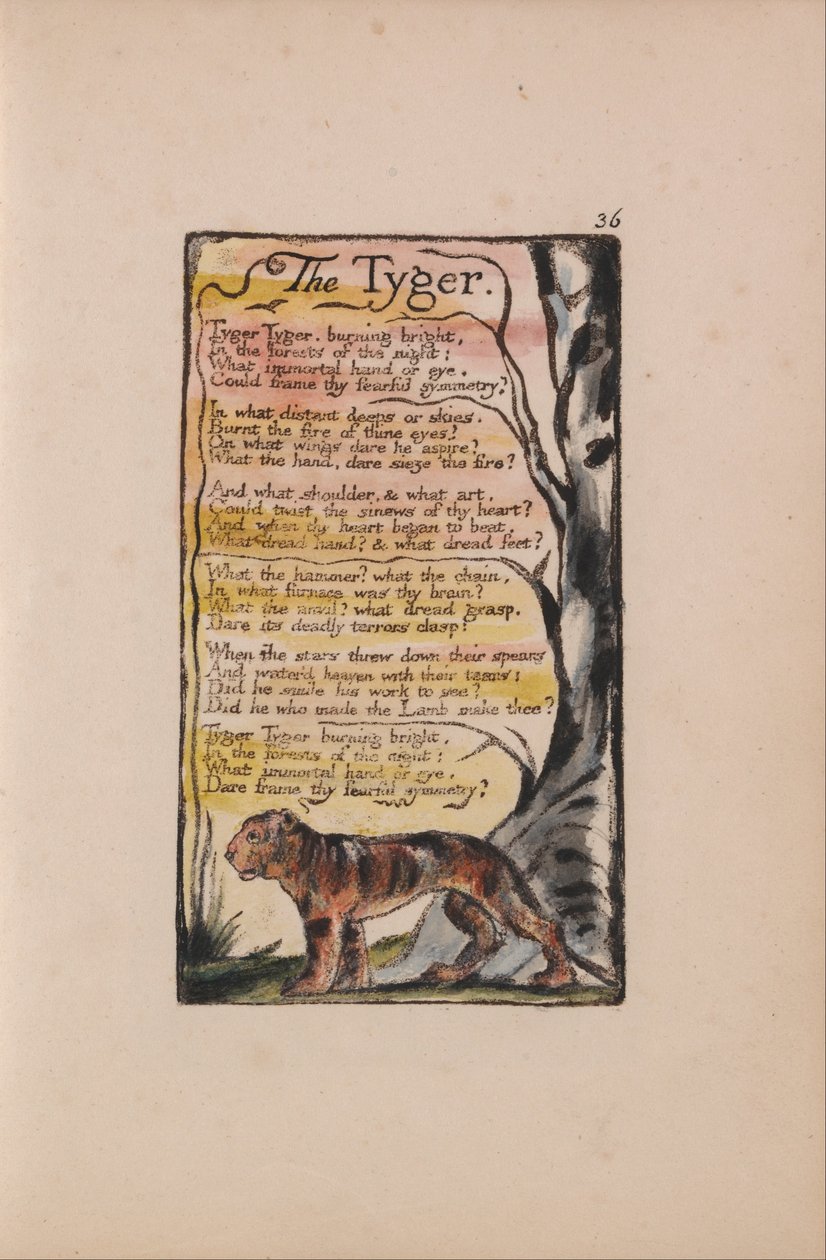 Canções de inocência e experiência, ilustração 36, The Tyger (Bentley 42) de William Blake