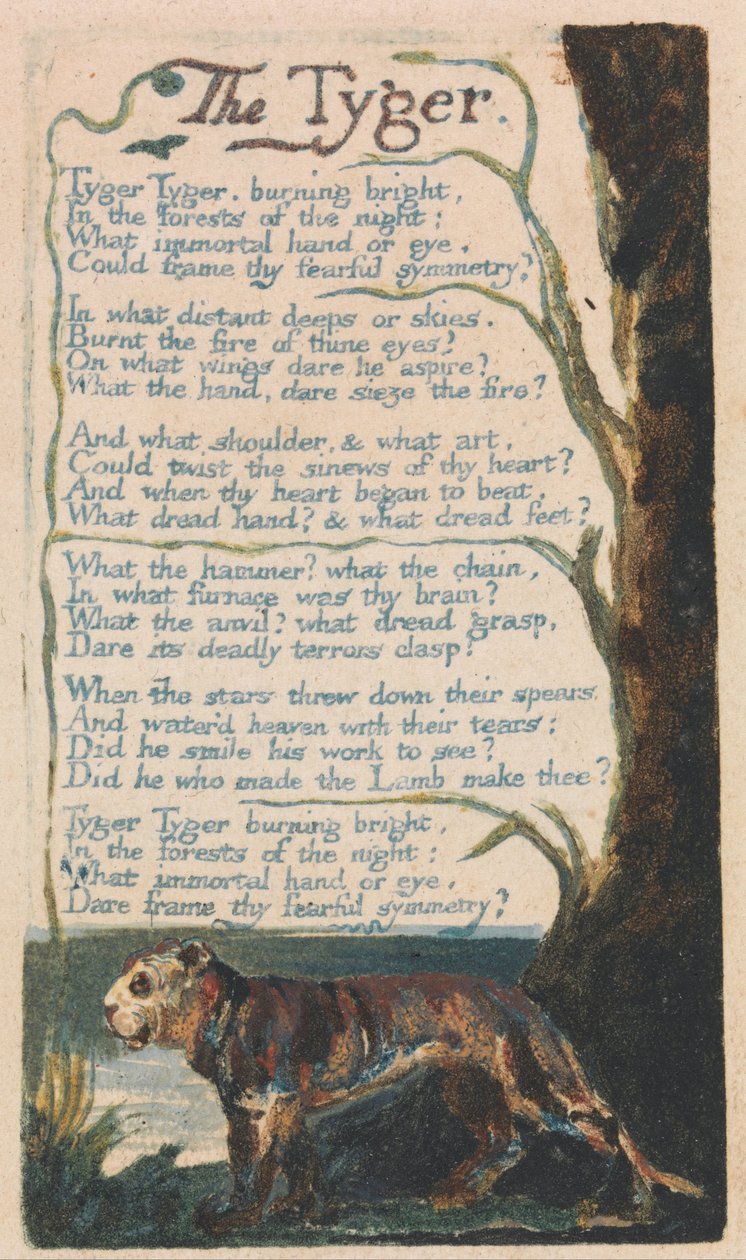 Canções de inocência e experiência, ilustração 42, The Tyger (Bentley 42) de William Blake