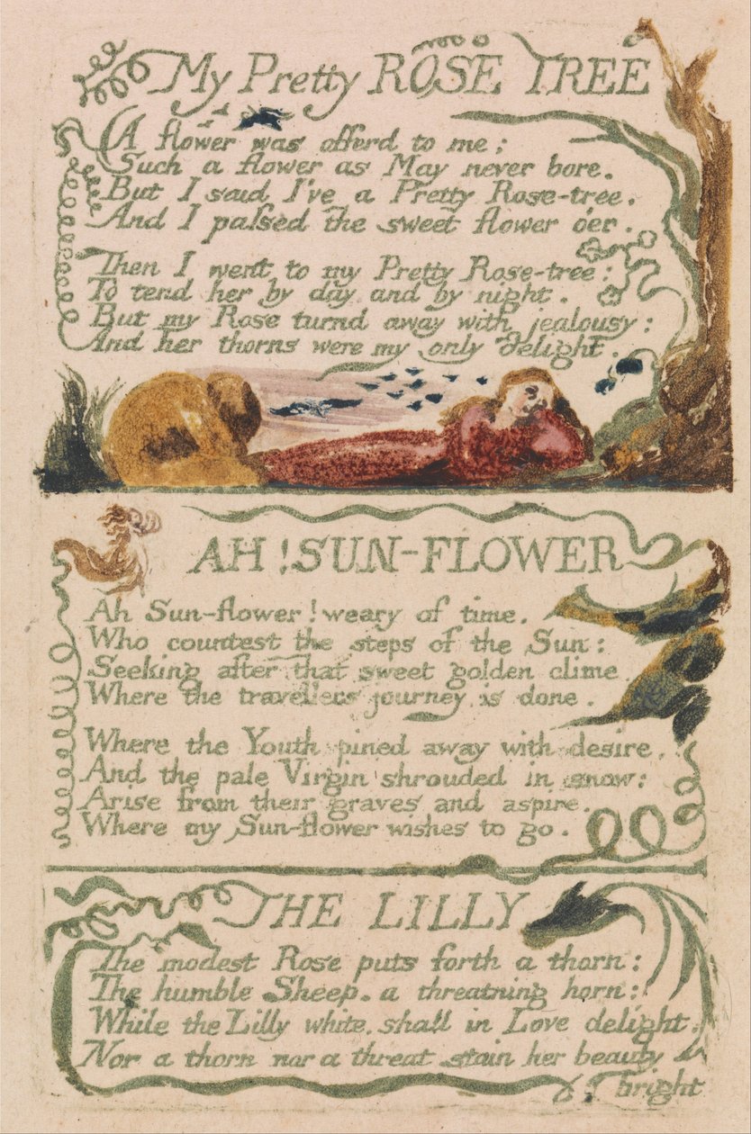 Canções de inocência e experiência, ilustração 47, My Pretty Rose Tree (Bentley 43) de William Blake