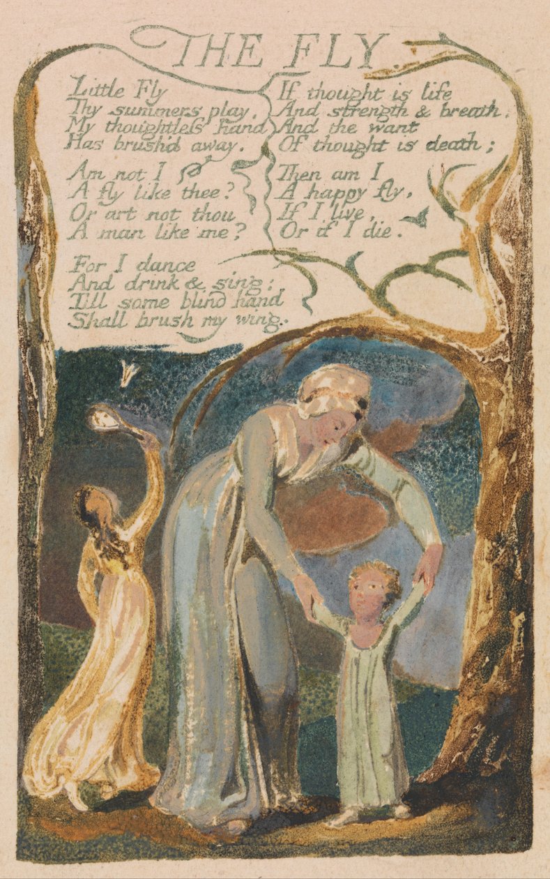 Canções de inocência e experiência, ilustração 48, The Fly (Bentley 40) de William Blake