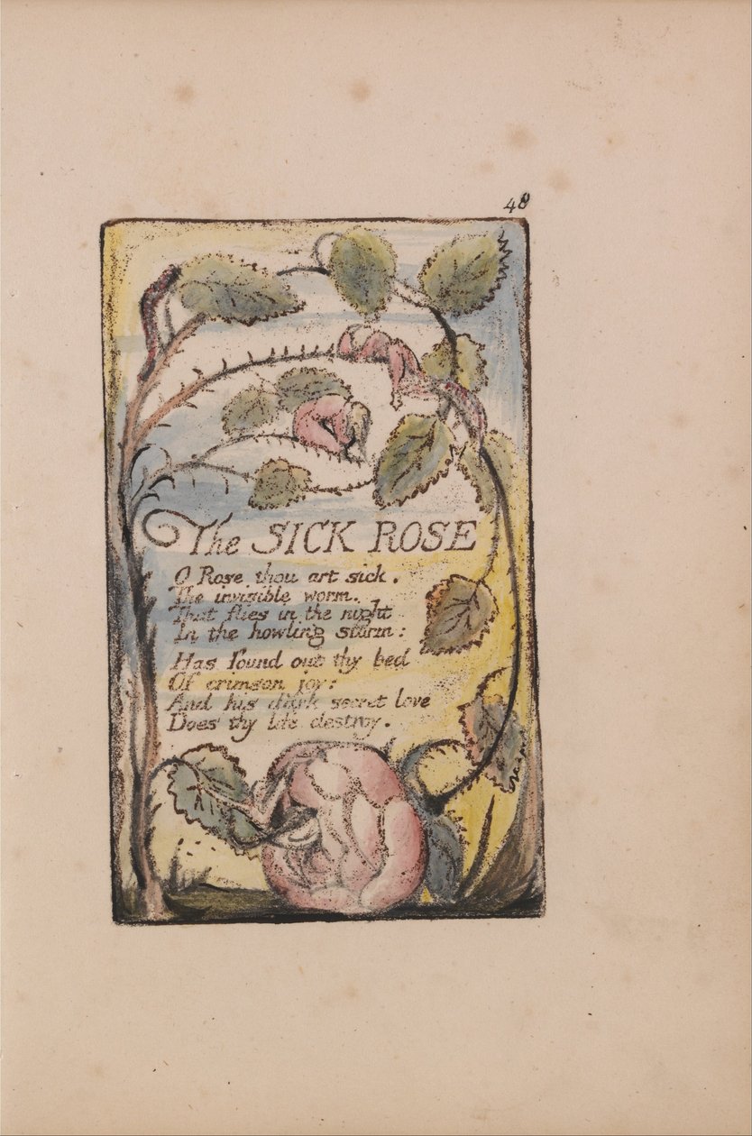 Canções de inocência e experiência, ilustração 48, The Sick Rose (Bentley 39) de William Blake