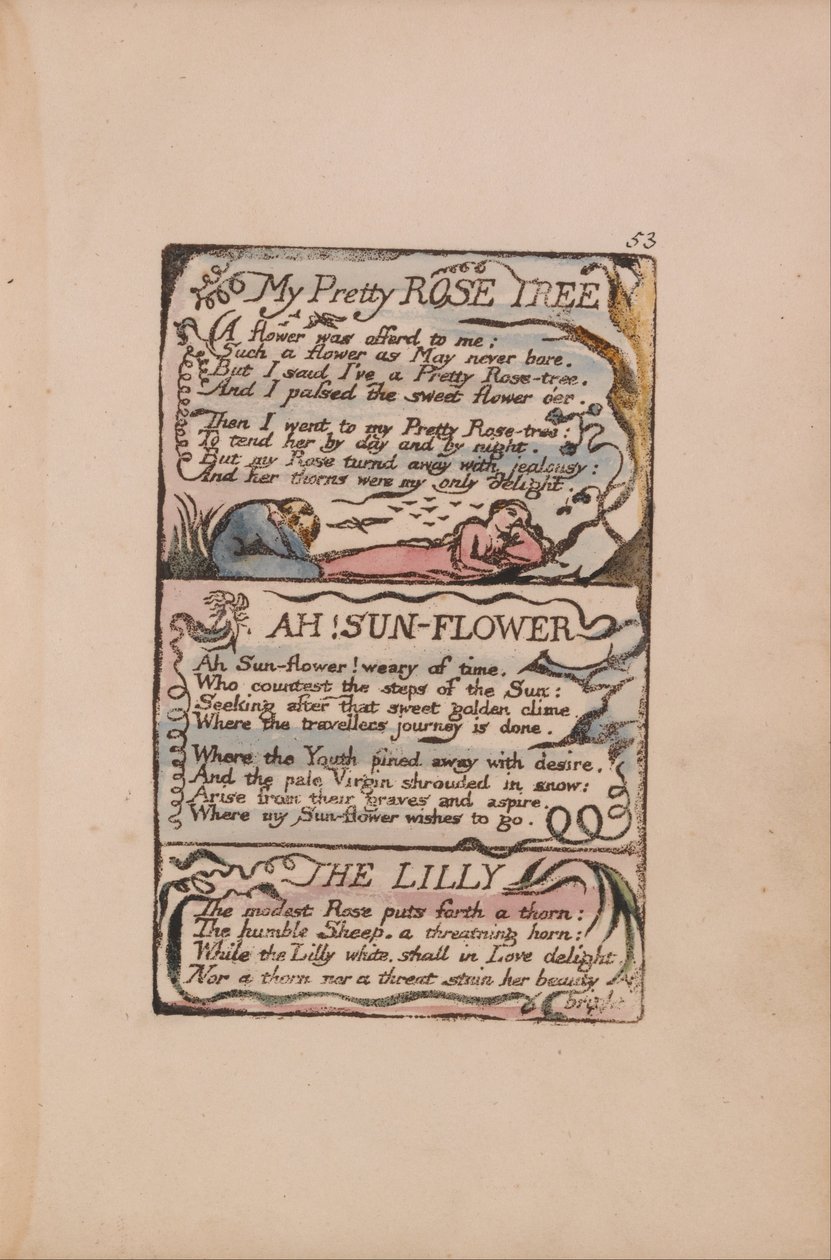 Canções de inocência e experiência, ilustração 53, My Pretty Rose Tree, Ah! Sun-Flower, The Lilly de William Blake