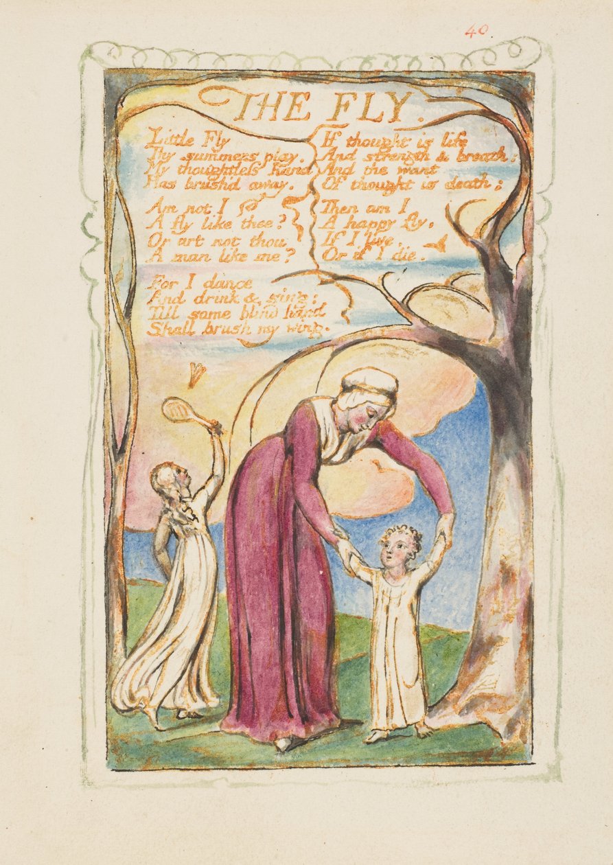 Canções da Inocência e da Experiência: The Fly, ca. 1825 de William Blake