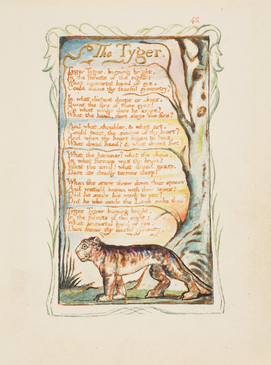 Canções da inocência e da experiência: O Tyger, c.1825 (gravura de tinta marrom colorida à mão em aquarela) de William Blake