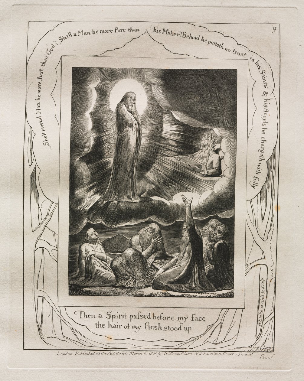 O Livro de Jó: Pl. 9, Então um Espírito passou diante do meu rosto / os cabelos da minha carne se arrepiaram de William Blake