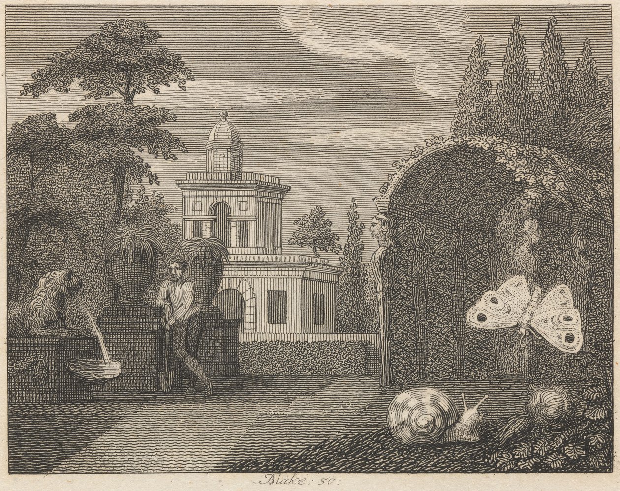 A Borboleta e o Caracol de William Blake