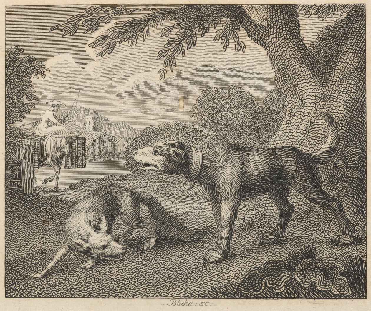 O cão e a raposa de William Blake