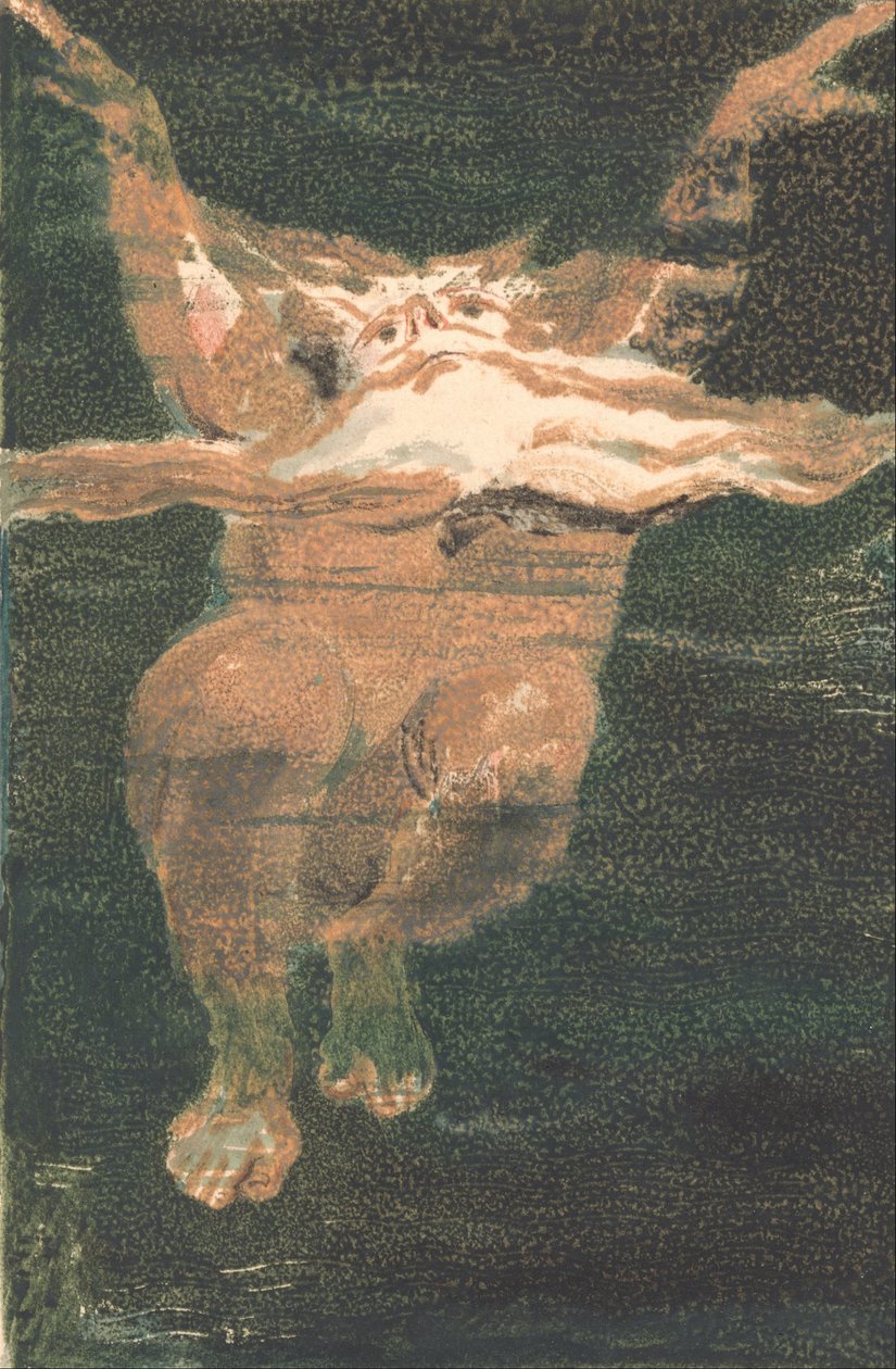 O Primeiro Livro de Urizen, Placa 5 (Bentley 12) de William Blake